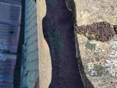 Gutter cleaners near Buckinghamshire